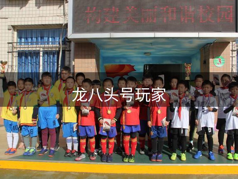 网站概况